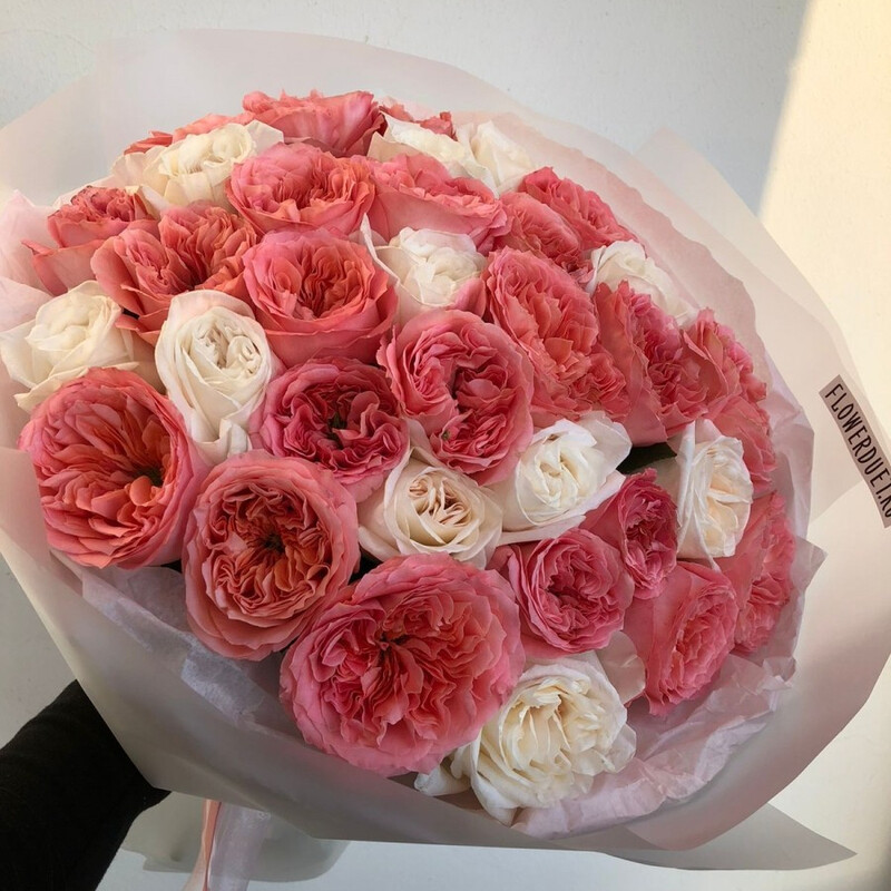 35 pionovidnih roz, 35 roz