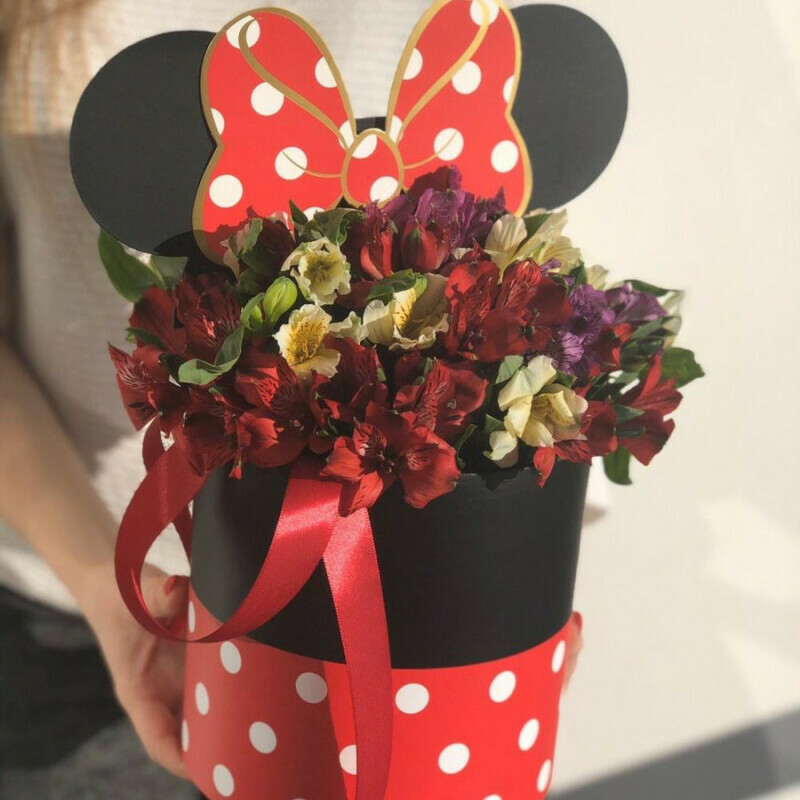 Box Minnie Mouse, стандартный