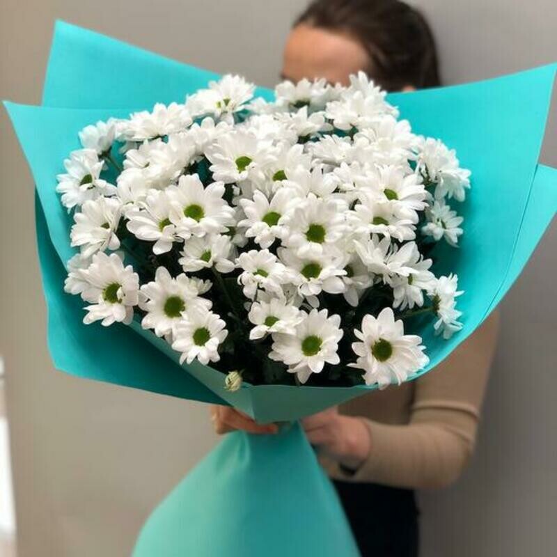 Ohapka romashek, ohapka romashek