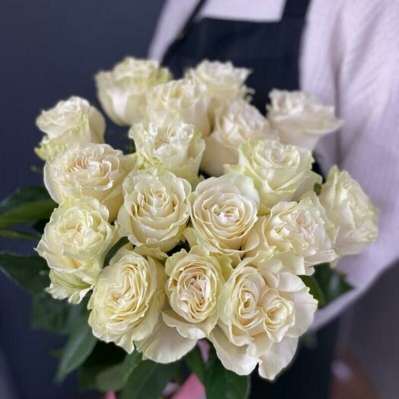 17 belih roz, 17 belih roza