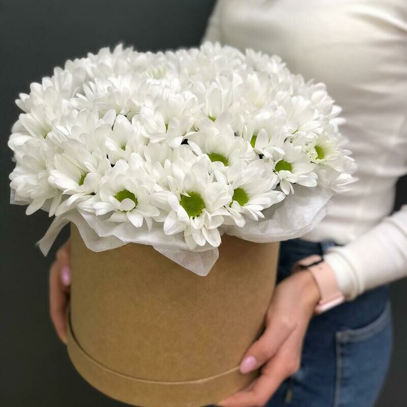 Belosnezhnoe oblako, standart