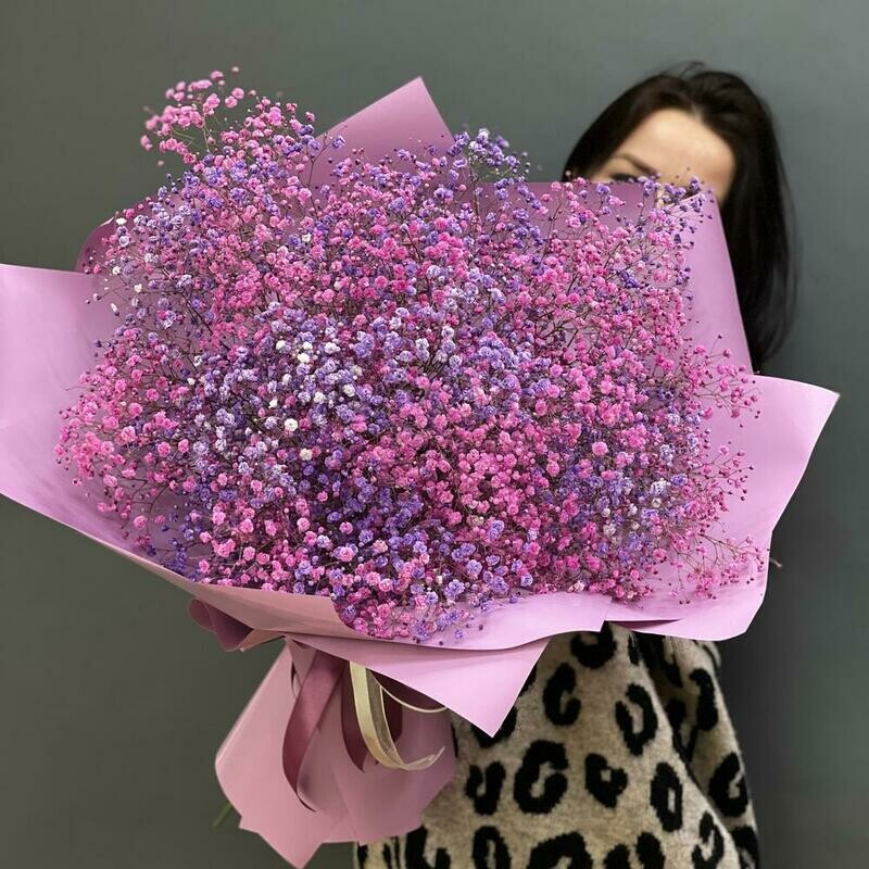 Воздушная гипсофила, стандартный