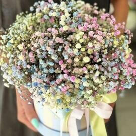 Raduzhnaya gipsofila v korobke