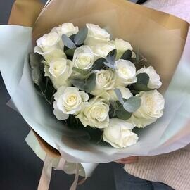 Belie Rozi s evkaliptom