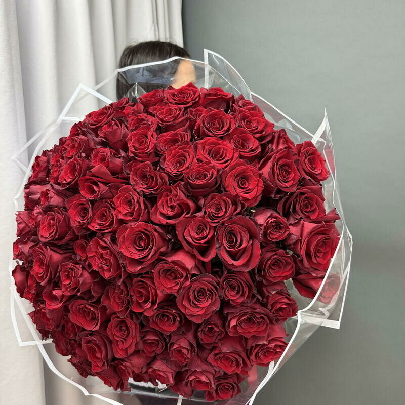 101 krasnaya Roza LUXE, 101 krasnaya roza luxe