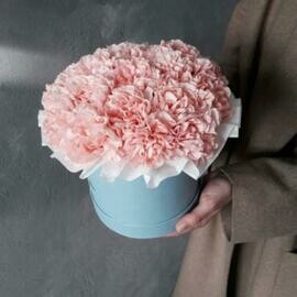 Диантусы в коробке