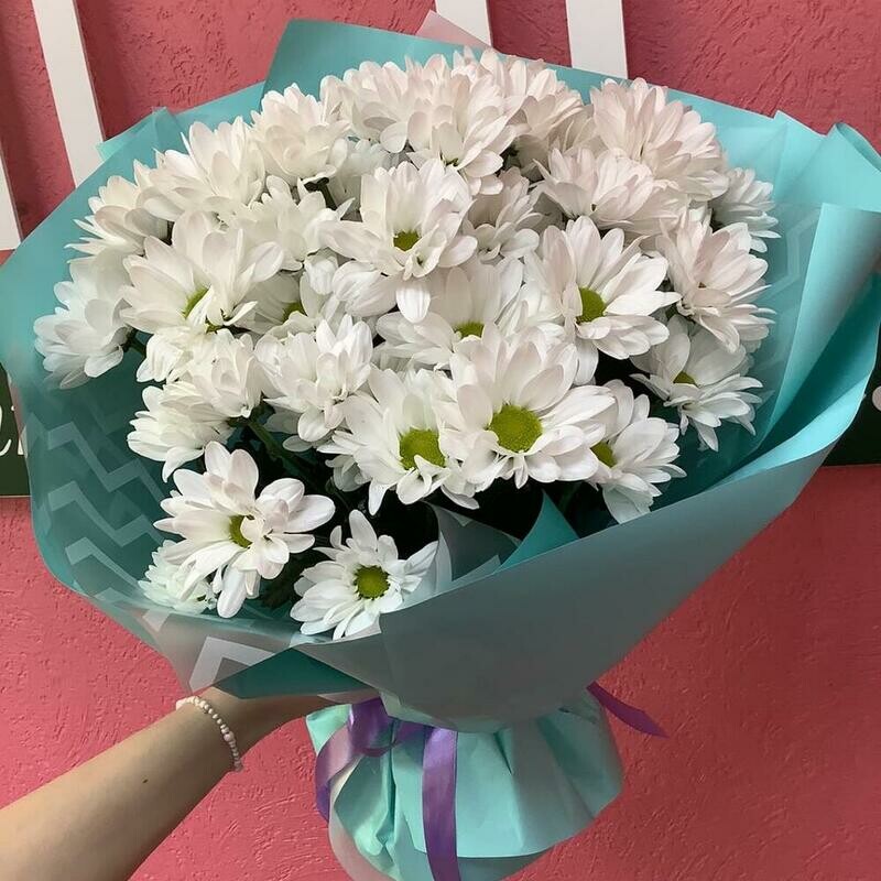 Romashkovoe nastroenie, romashkovoe nastroenie