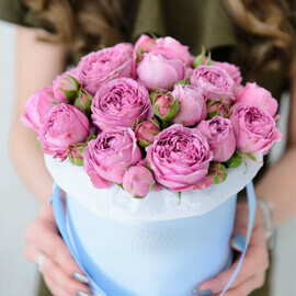 Мисти бабблз