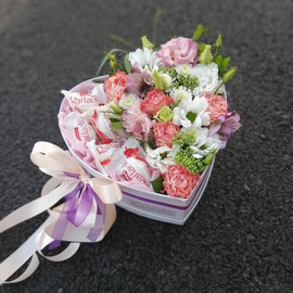 TCveti s rafaellkami