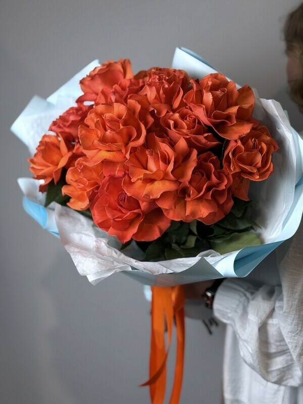 Frantcuzskij sharm, standart