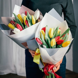 Микс тюльпанов