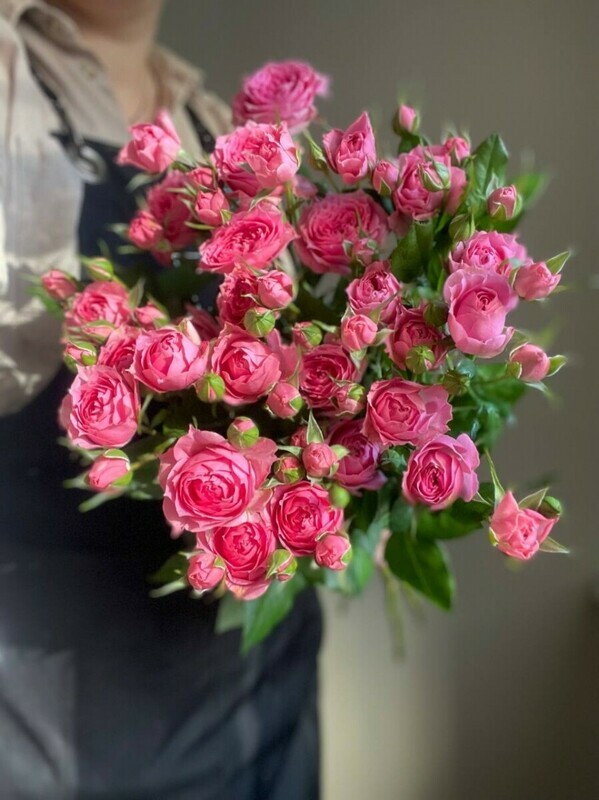 Kustovie rozi, standart