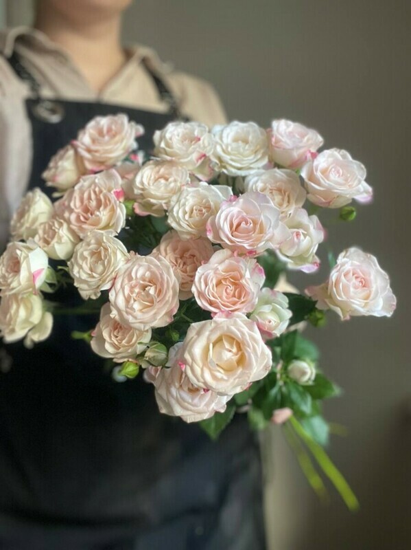 Roza kustovaya, standart