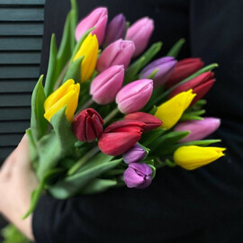 Букет из 19 тюльпанов на ленте