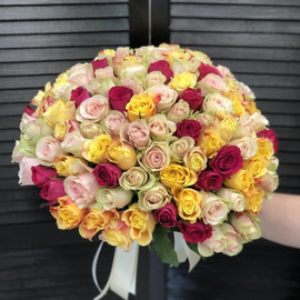 Buket iz 101 rozi MIKS 40 sm