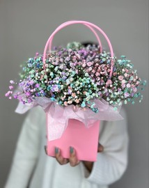 Gipsofila v rozovoj sumochke