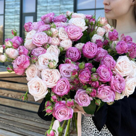 Buket iz 15-ti pionovidnih kustovih roz