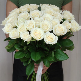 Buket iz belih roz 31 sht. 50 Sm, Rossiya