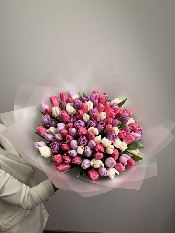 101 тюльпан, 101 тюльпан