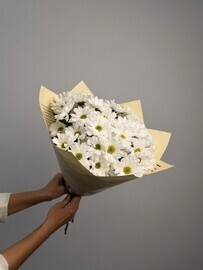Букет из 5 кустовых хризантем