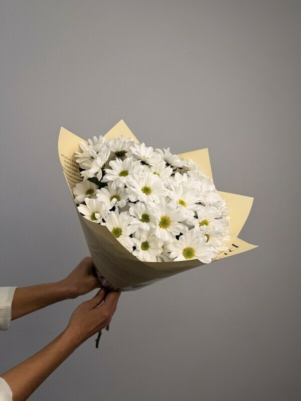 Букет из 5 кустовых хризантем, хризантема кустовая 5 шт.