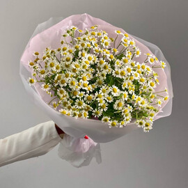 Buket «Valeriya»