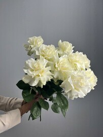 Букет роз «Франция»