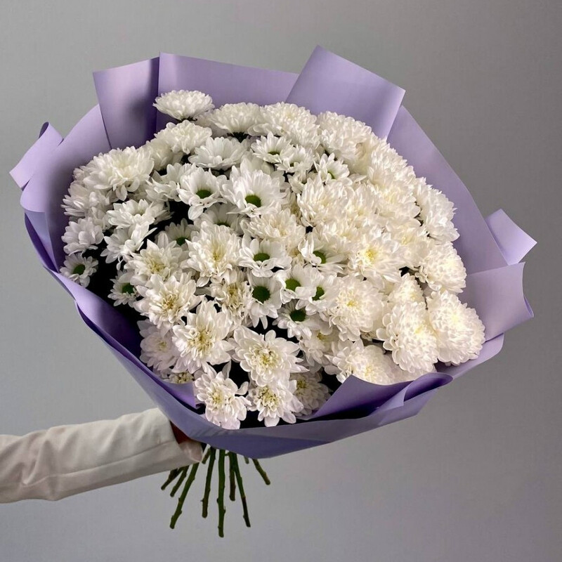 Buket «Izumitel_nij», hrizantema kustovaya 15 sht.