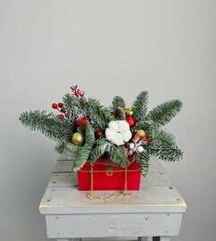 Композиция из нобилиса «Зимняя сказка»