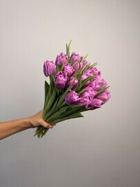 Букет из 21 пионовидного тюльпана