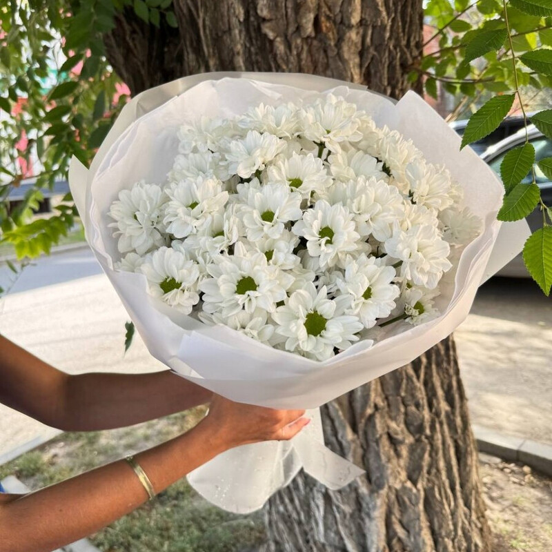 Bouquet "Sincere", hrizantema kustovaya 7 sht.