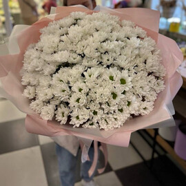 Bouquet of chrysanthemum "Vanilla sundae"