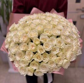 Роза кения белая 101