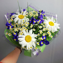 Летнее настроение