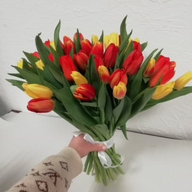 Микс тюльпан 35