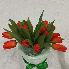 Яркие краски