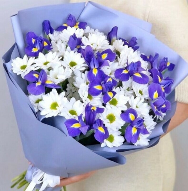 ирис в хризантемах, стандартный