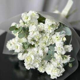 Aromatnaya matiolla 11 shtuk