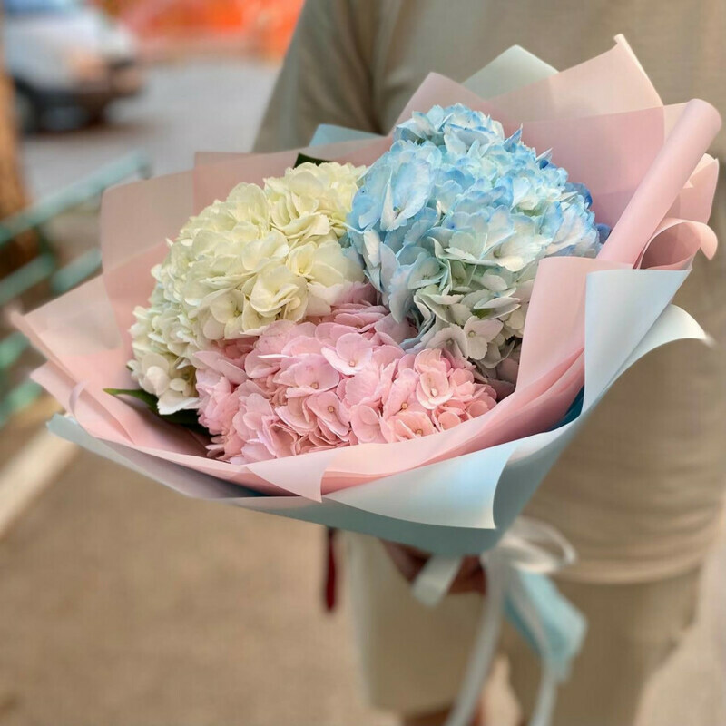 Микс гортензий, стандартный