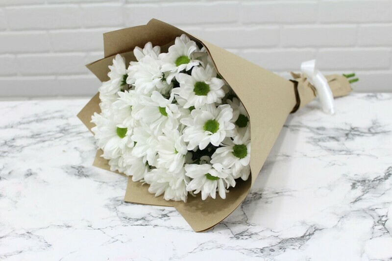 Хризантема кустовая, стандартный