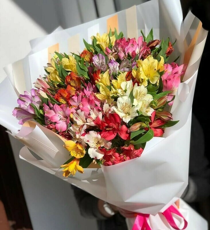 Альстромерия микс , стандартный