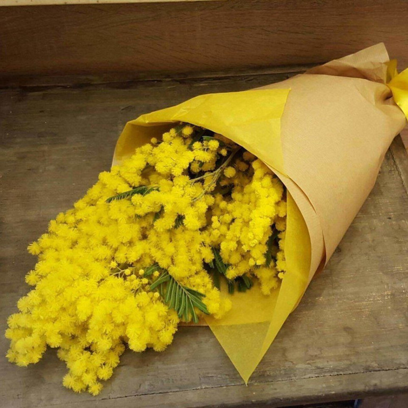 Мимоза, стандартный