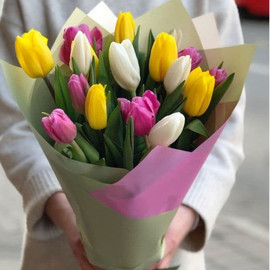 Разноцветные тюльпаны 17 штук