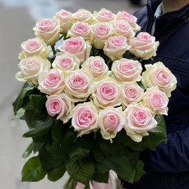 Розы 25 ШТУК