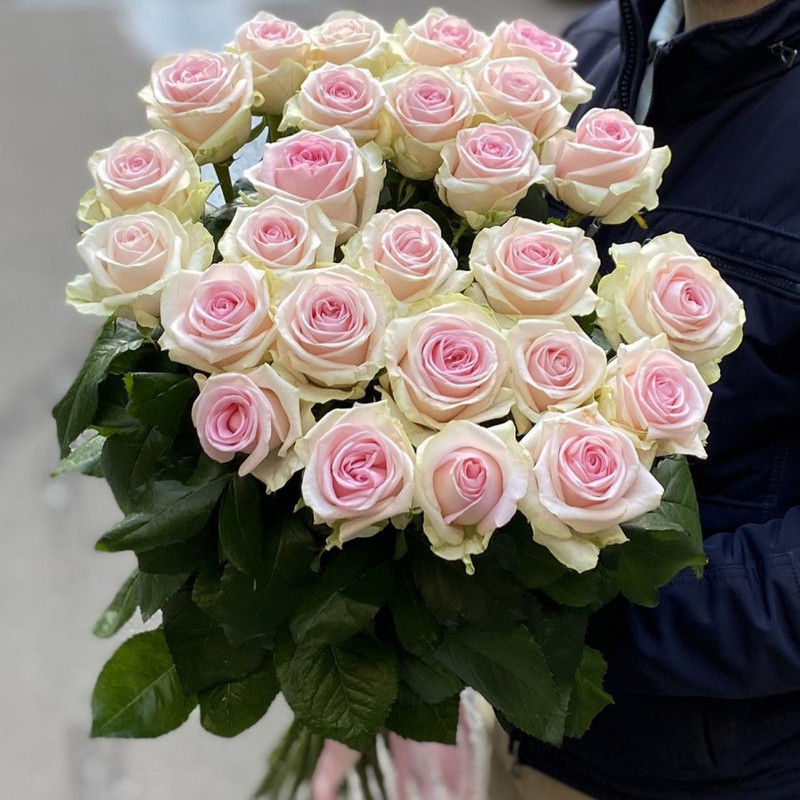 Vsya nezhnost_ 25 roz, standart