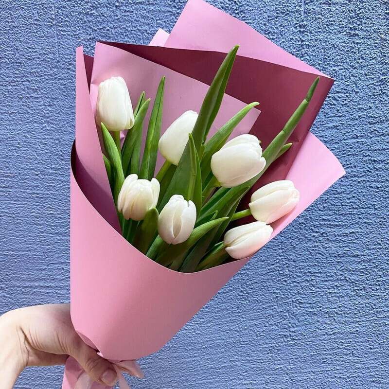 Нежные тюльпаны, стандартный