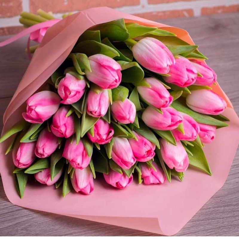 Rozovie tyul_pani, standart