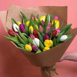 Тюльпаны микс