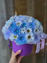 Яркая хризантема 