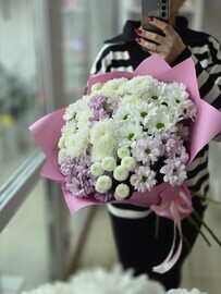 Хризантема 